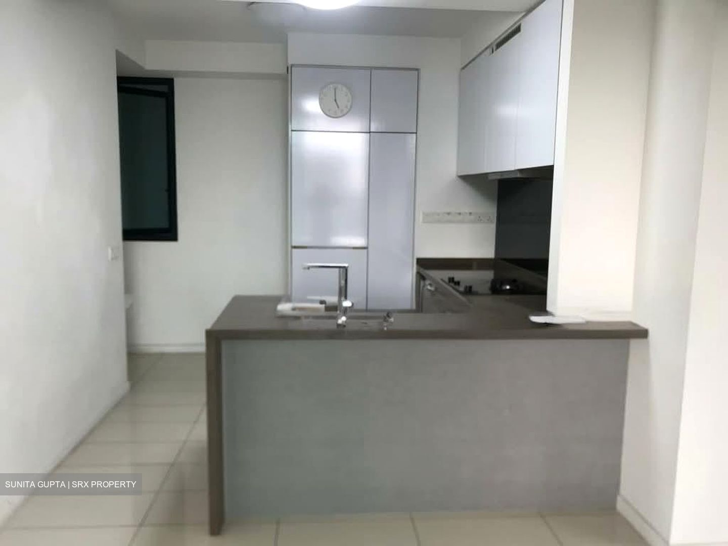 Sky Green (D13), Condominium #573882881